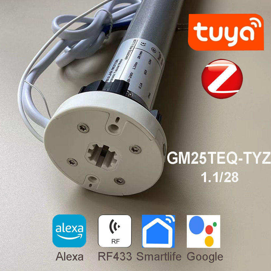 Smart Home Voice Assistant - Tuya Zigbee GM25TEQ 1.1N Smart Rolling